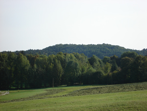 ... vista dell'area ...